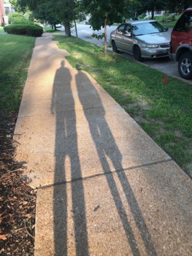 Shadows of The Central West End